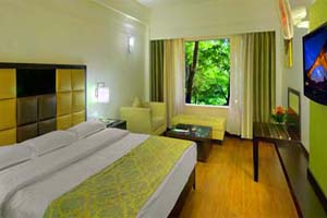 Luxury Hotels at Manali Himachal